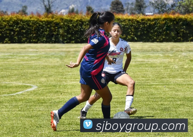 开云APP 高清赛事图